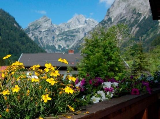 Ferienhaus Rosi Sankt Martin am Tennengebirge Habitación foto
